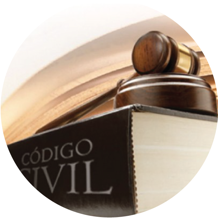 Direito Civil